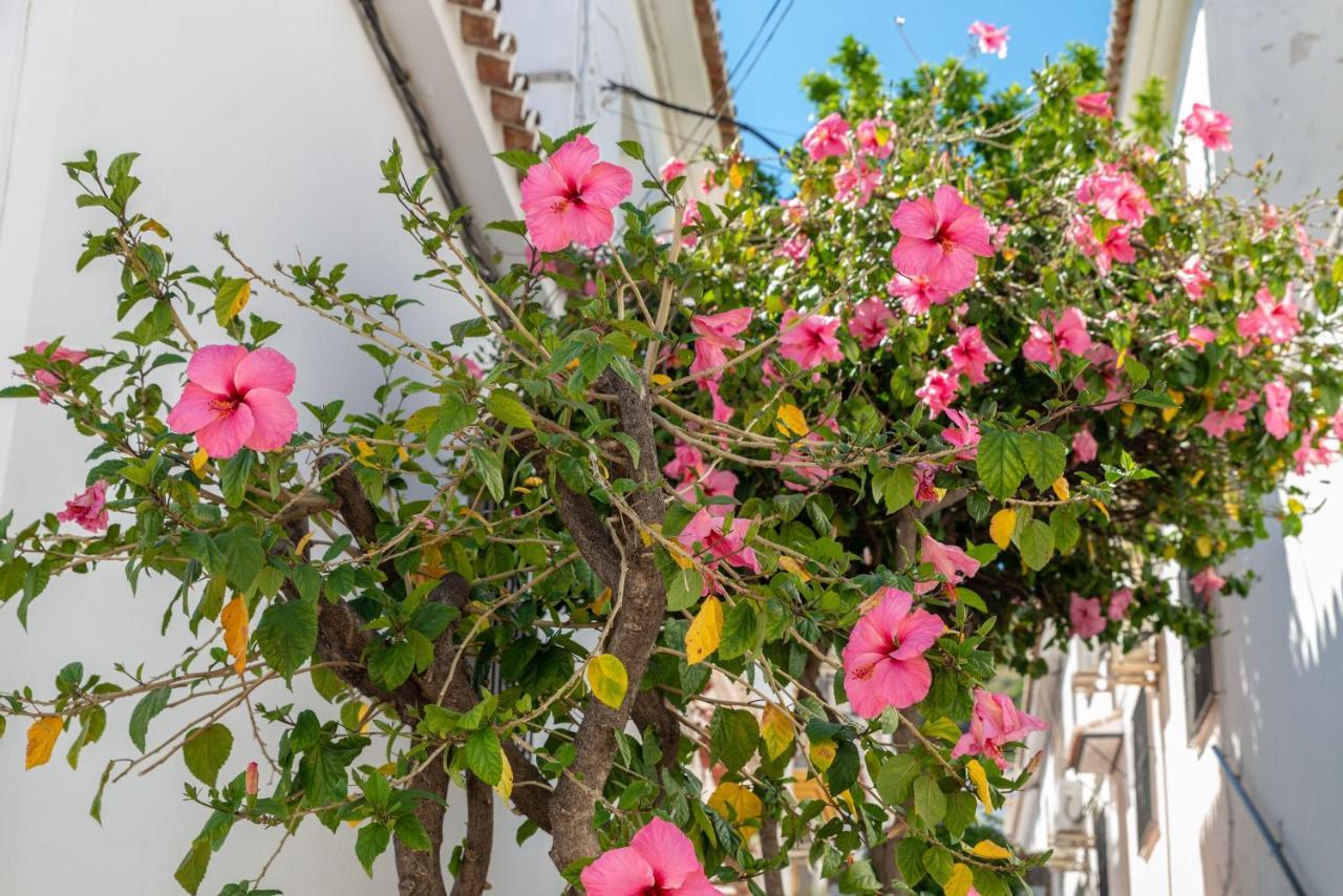 Lovely Cozy 2-Bedroom Residential Home With Patio Benalmádena Exterior foto